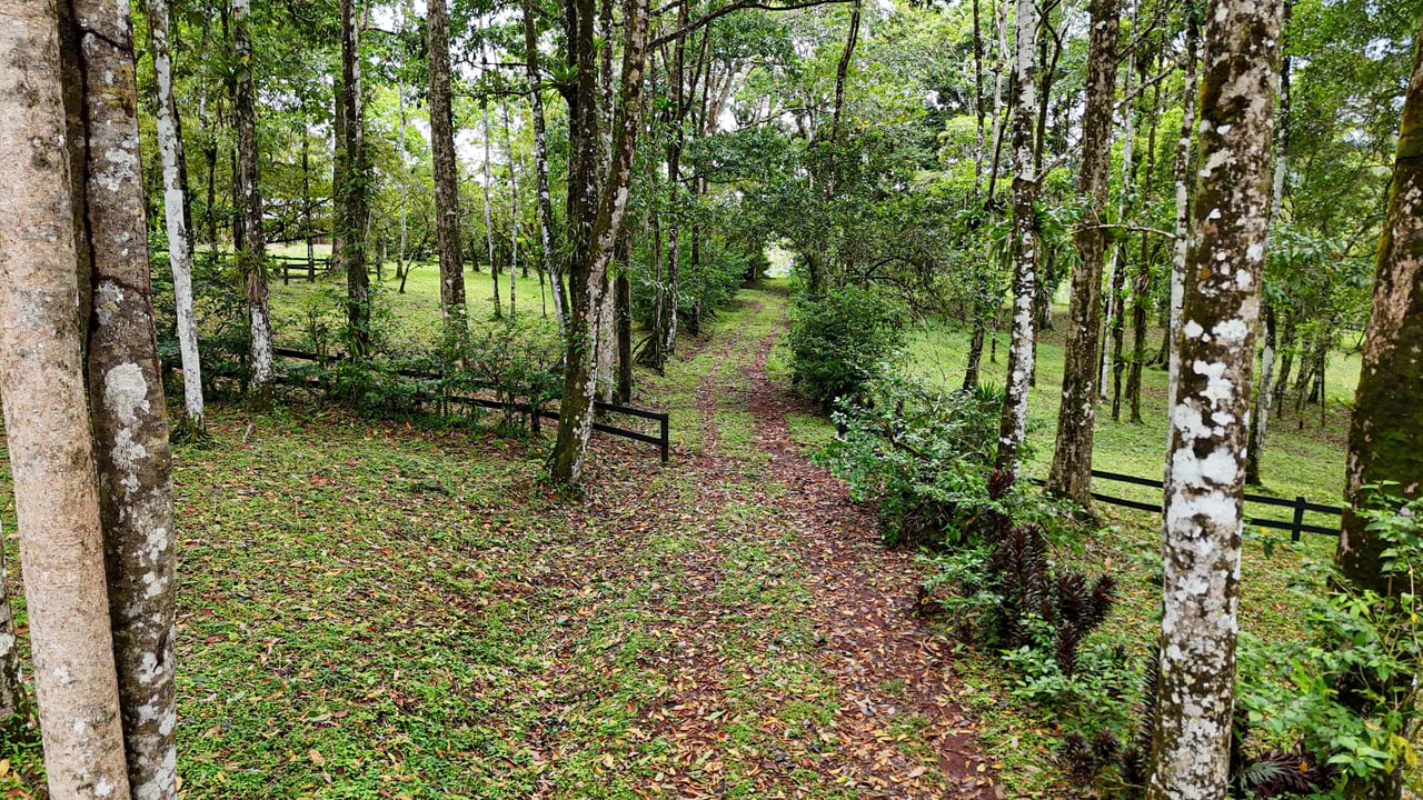 Finca Macadamia | 154-acre Rainforest Paradise with two Houses and Trails!