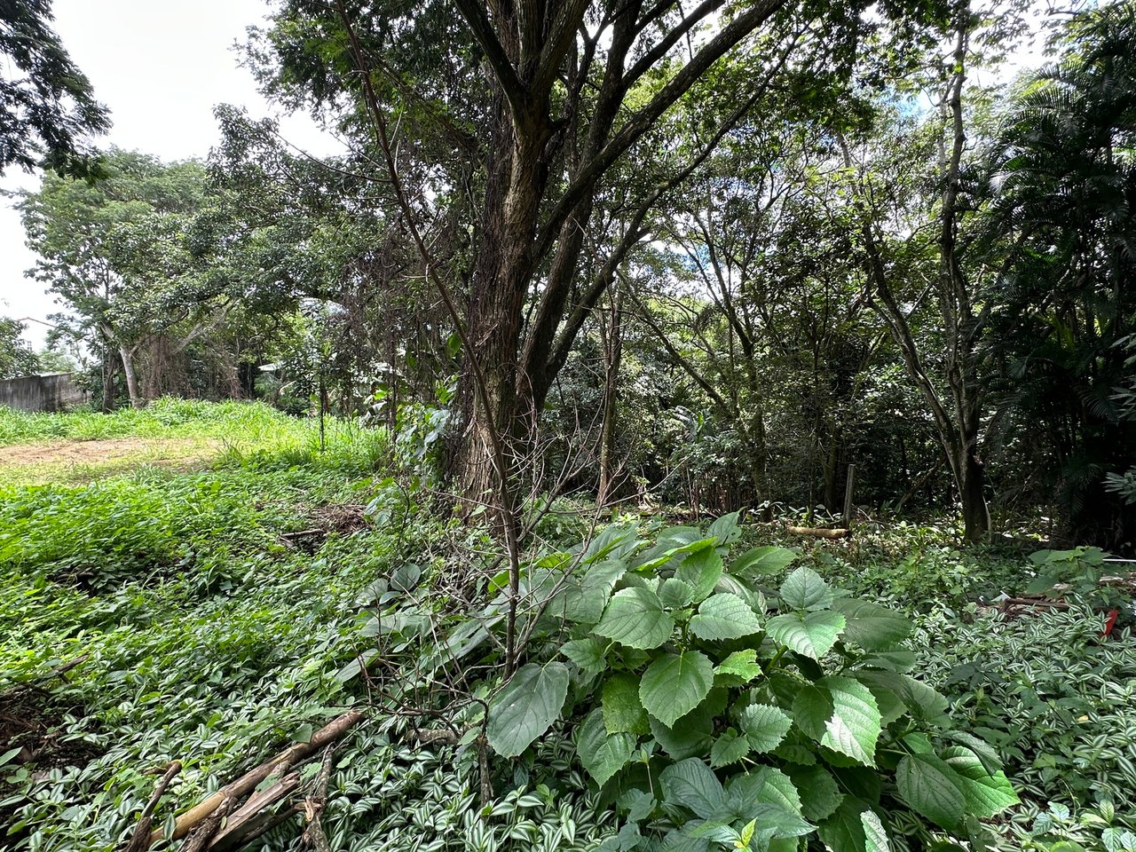 Lush Butterfly Garden Building Lot, Heredia