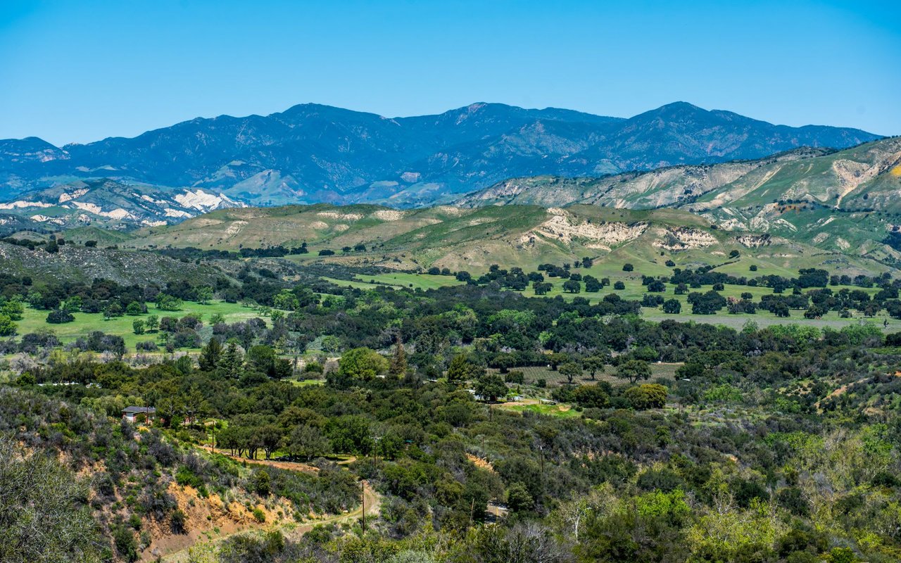 Santa Ynez