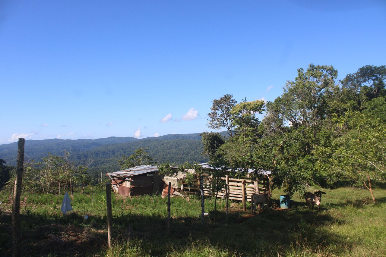 90 acre Farm, Inexpensive with lots of potential close to Rio Claro