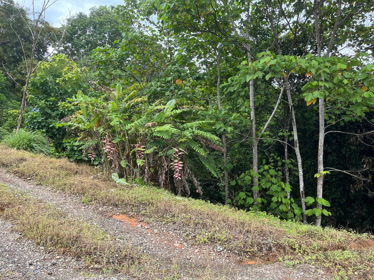 Private Ocean View Lot, Osa, Puntarenas