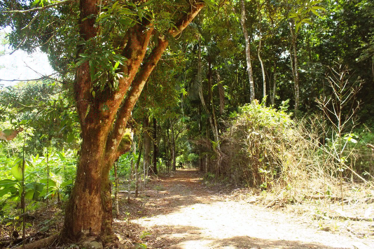 Wildlife Reserve Farm close to Ojochal