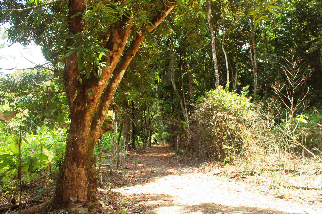 Wildlife Reserve Farm close to Ojochal