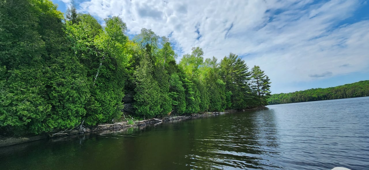 Fern Glen Road Round Lake 