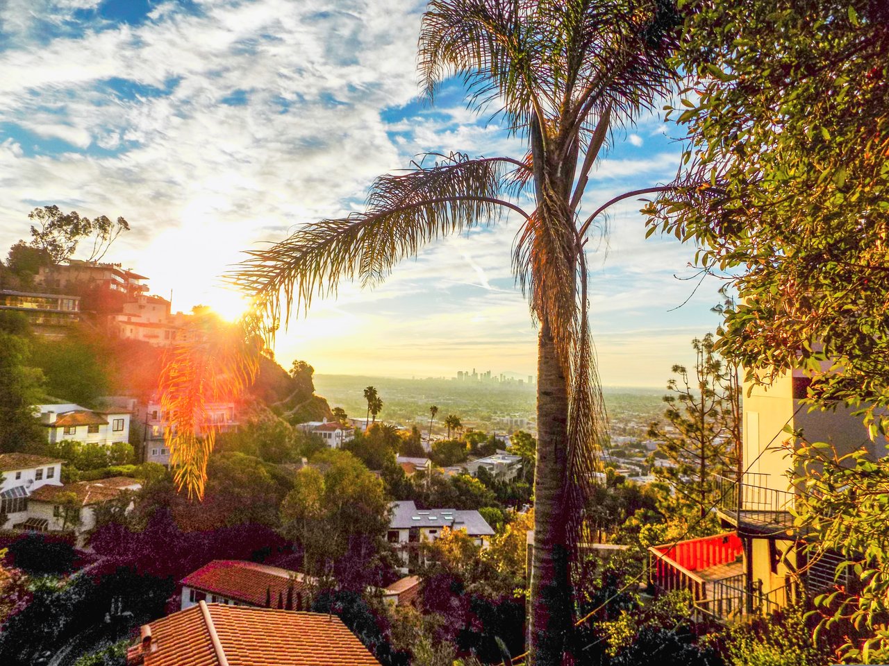 Hillside homes and the Los Angeles skyline framed by palms in golden-hour light.