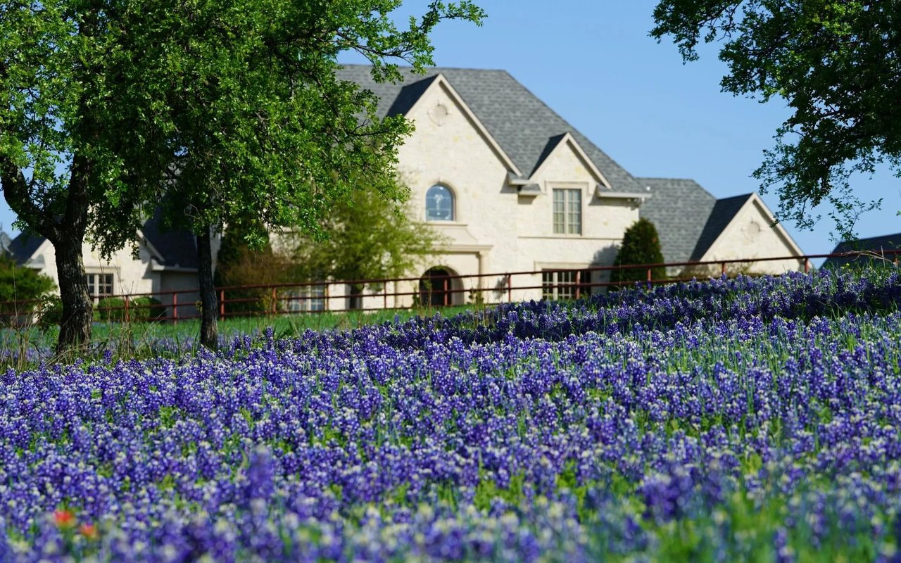 Charming house surrounded by lush greenery and vibrant violet flowers, showcasing the beauty of Leander, Texas real estate.