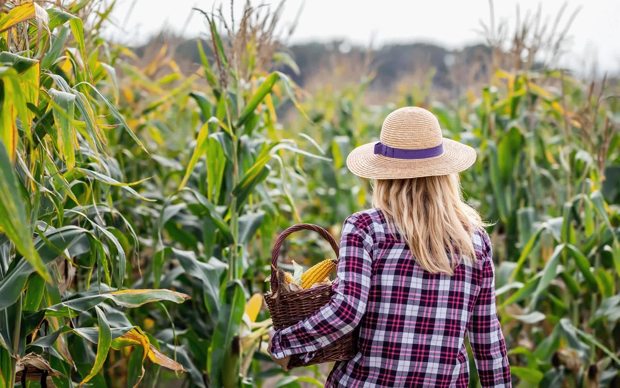 Eat Local, Eat Fresh: Farmers Markets and Farm-to-Table Dining in Indy