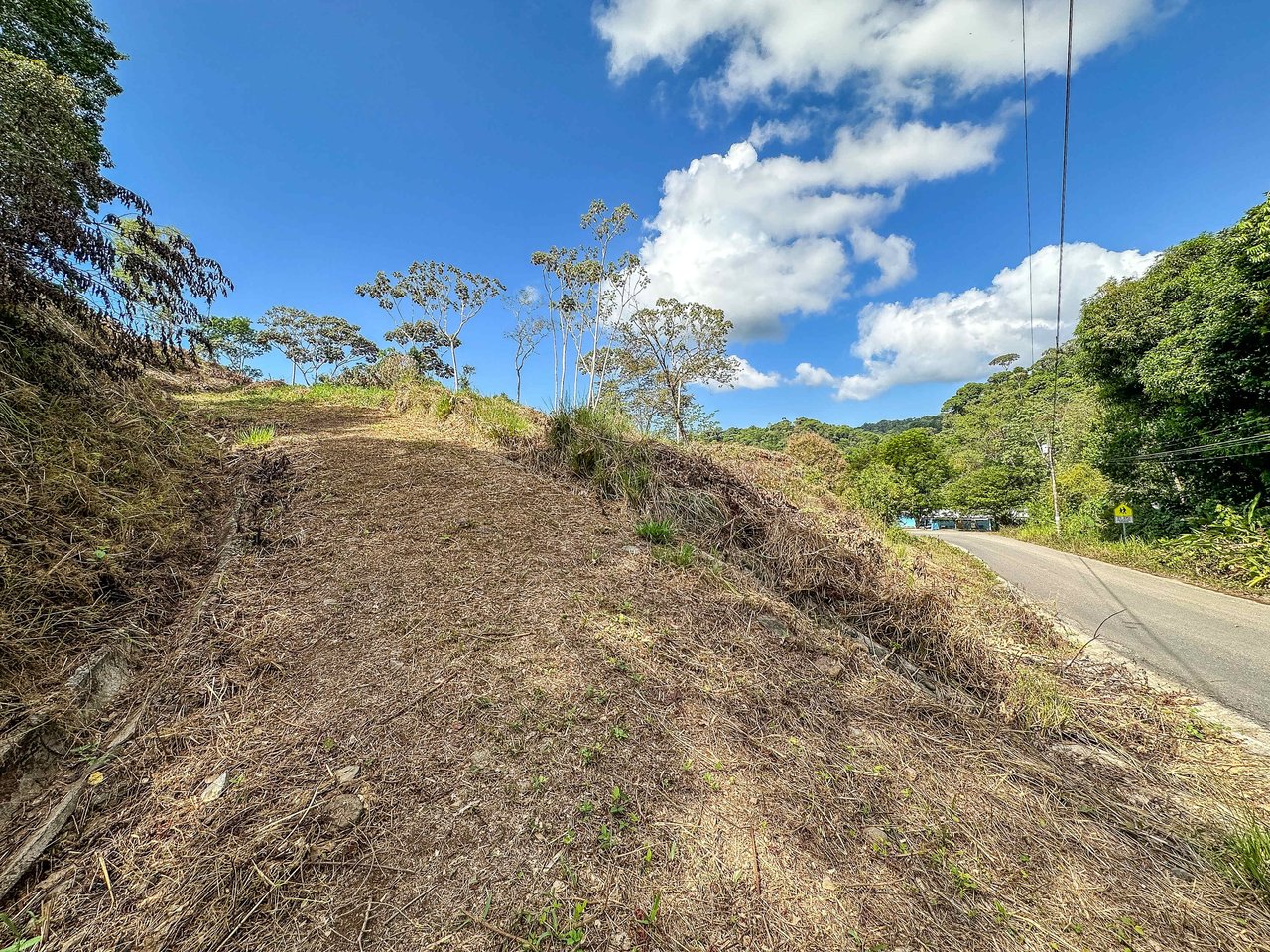 An elevated 1.2 acres lot with two plantels, panoramic mountain and jungle views.
