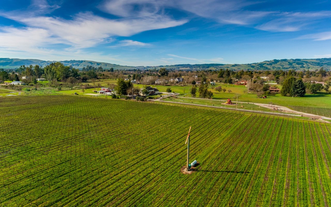 Napa Road, Sonoma