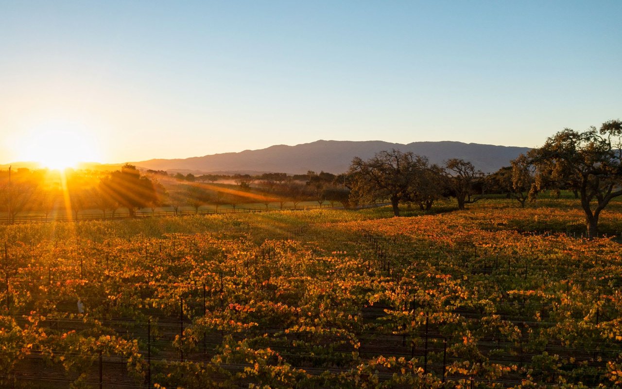 Travel & Leisure Names Santa Ynez Valley One of the 50 Best Places to Travel in 2022