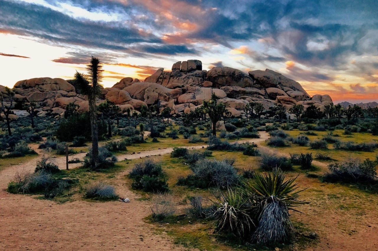 10 Ways to Get Outside in Palm Springs