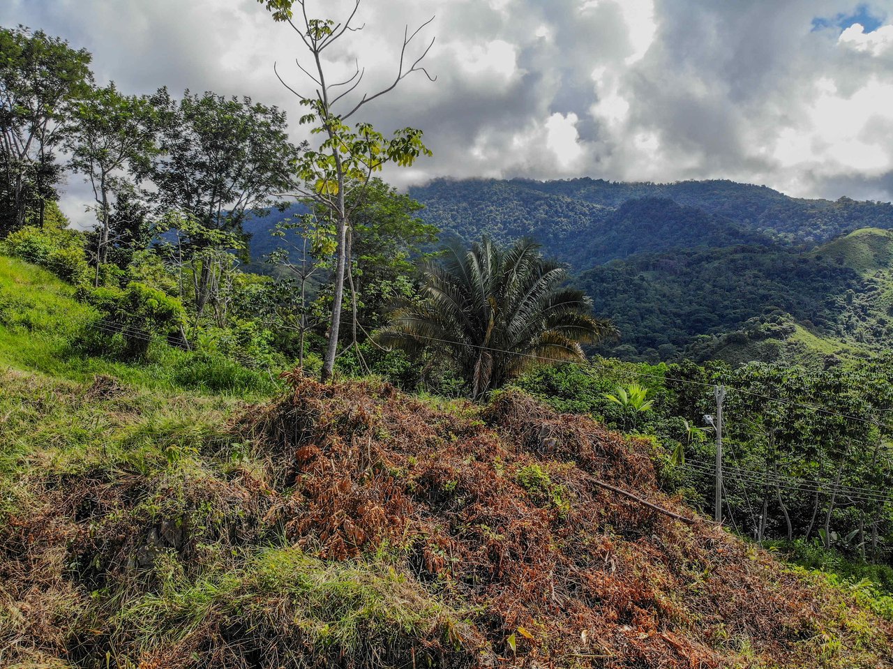 Ocean & Mountain View Half-Acre Lot in Gated Chontales Community