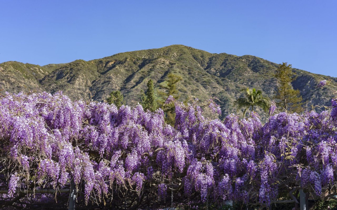 Sierra Madre