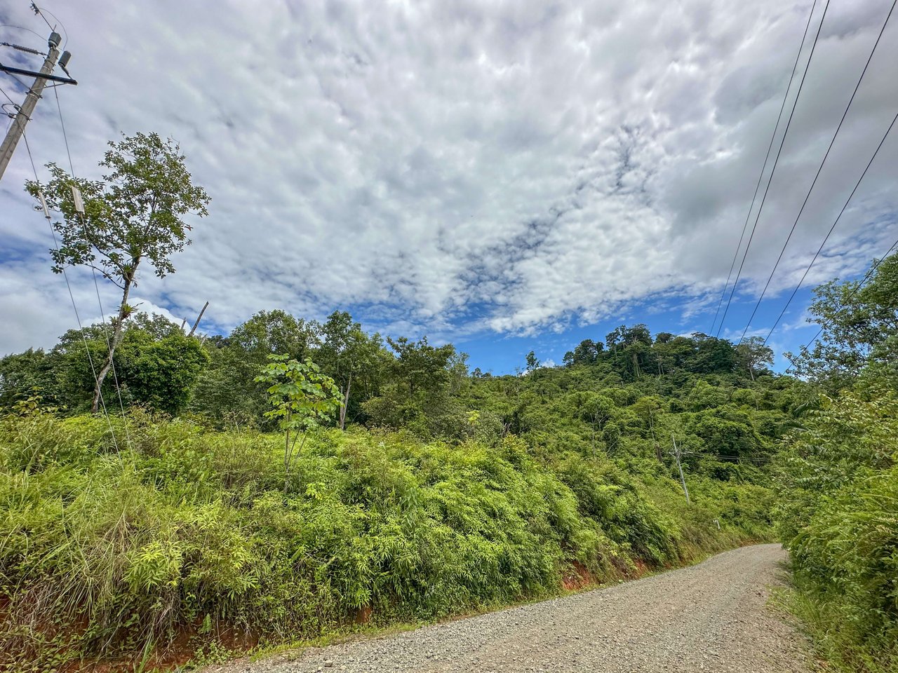 Costa Rican Gem with Conservation Potential: Preserve 26 Acres of Pristine Land