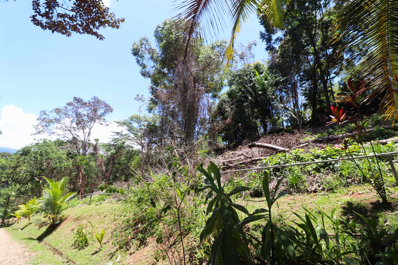 Over One Acre Attractive Lot on the Popular PEREZOSO Road.