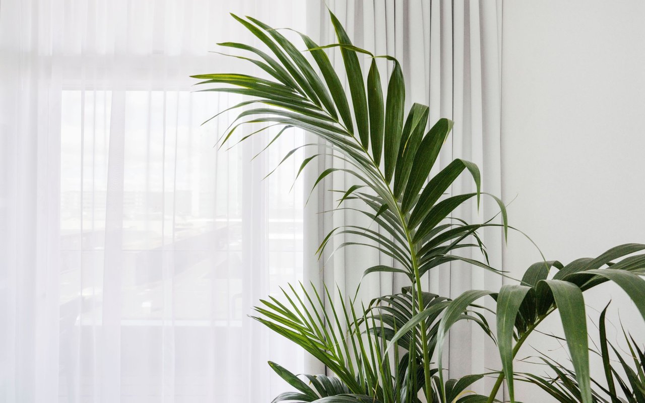 Buyers Steer Money Toward Sustainable Homes