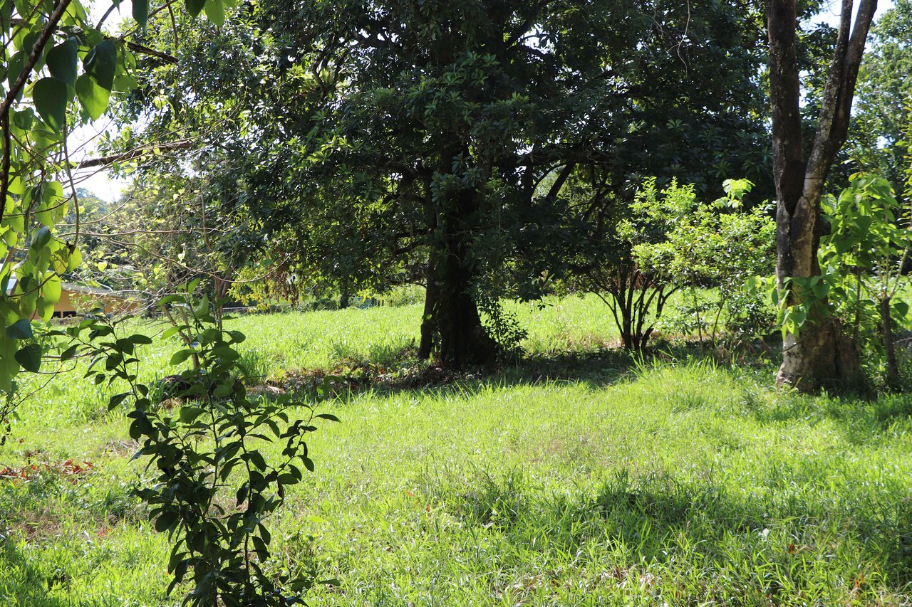 Over 3 Acres, Mountain View Lot in the Heart of Ojochal, Ready for Development!.
