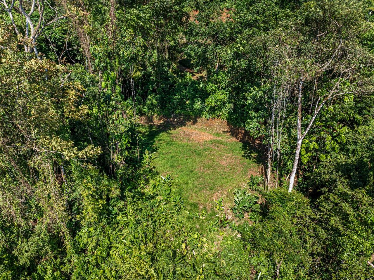 Premier Ocean View Development Land, Manuel Antonio, Puntarenas