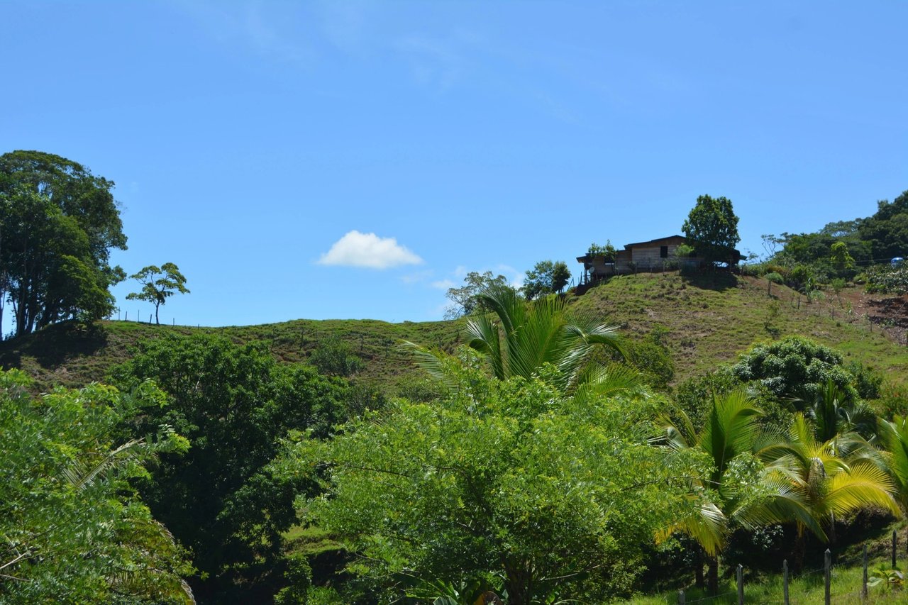 Expansive Ocean View Development Land, Osa, Puntarenas