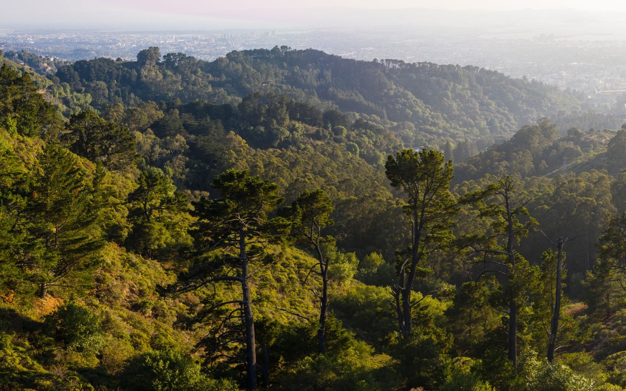 Orinda