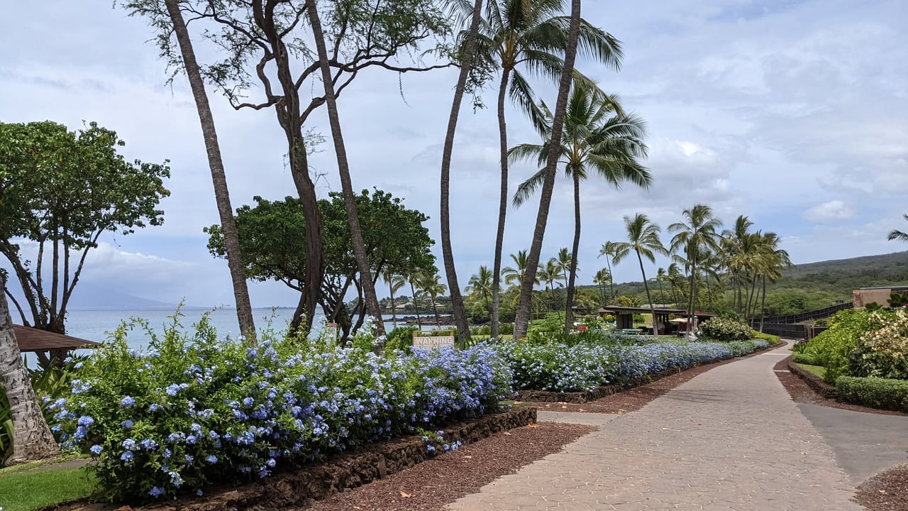 Makena | Kihei