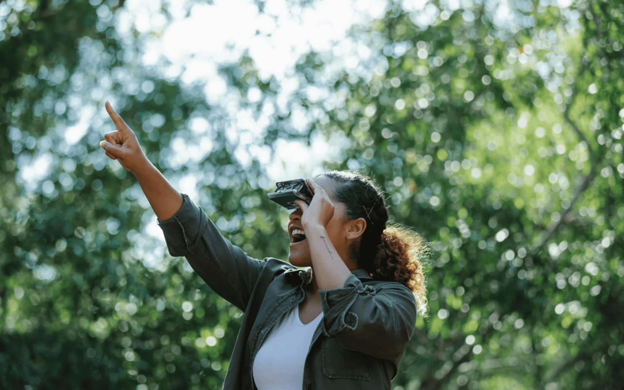 Things to Do in Chappaqua NY