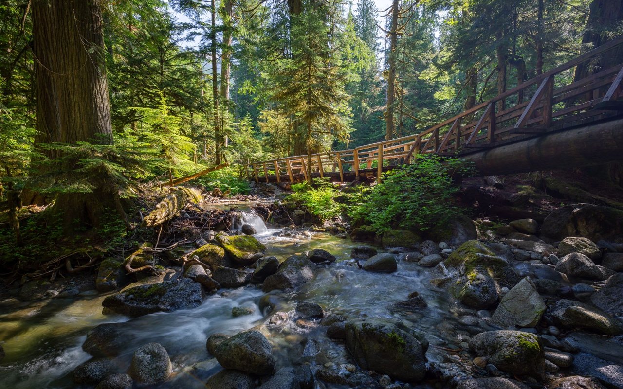 WASHINGTON STATE