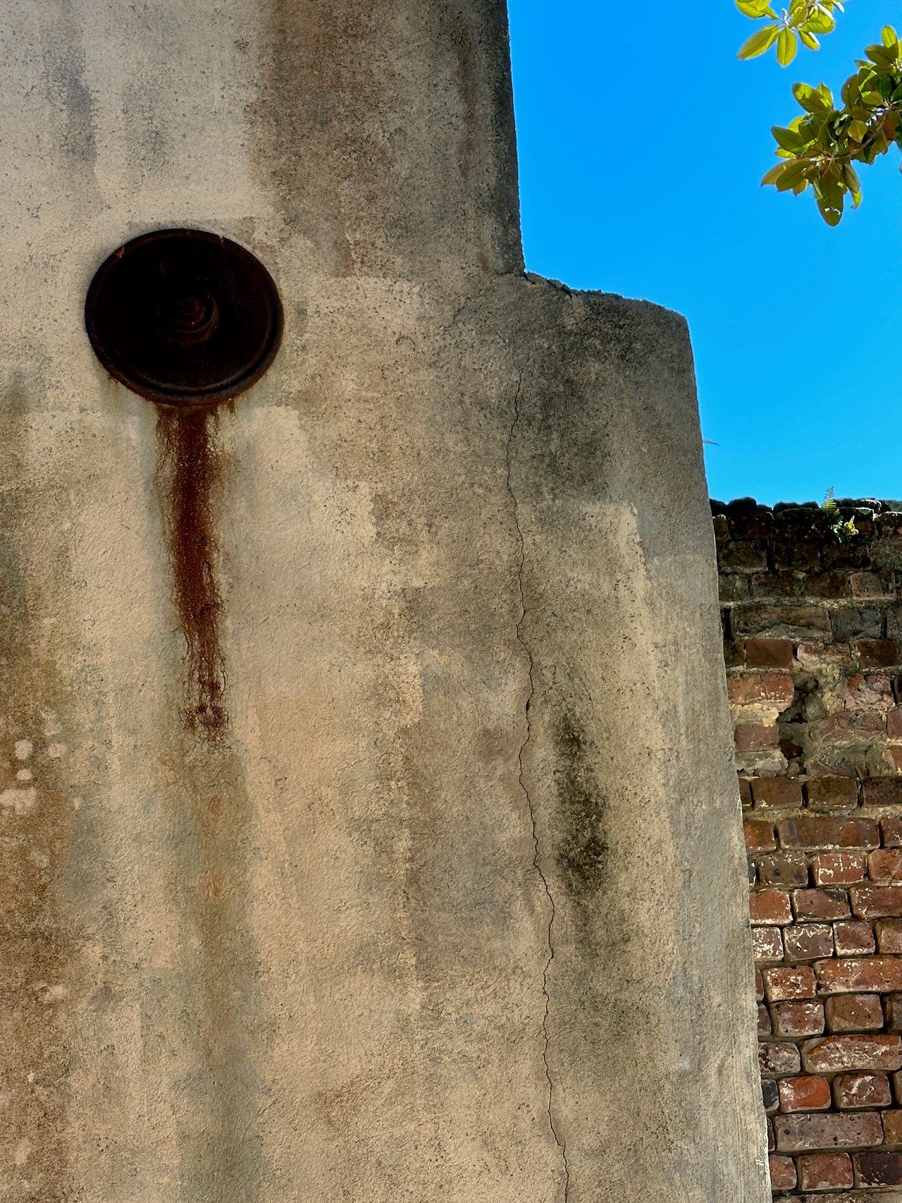 The Iron Will of Charleston