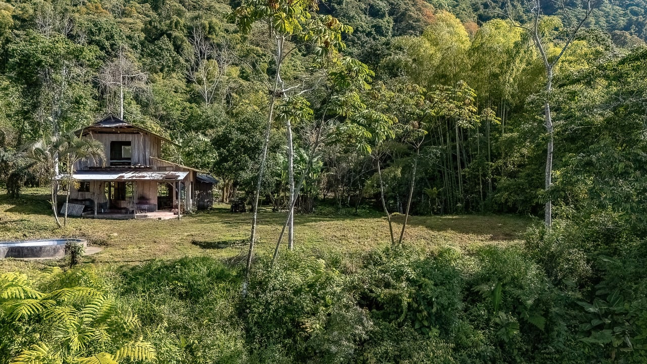 Off Grid Farm  at the top of the Uvita mountain range