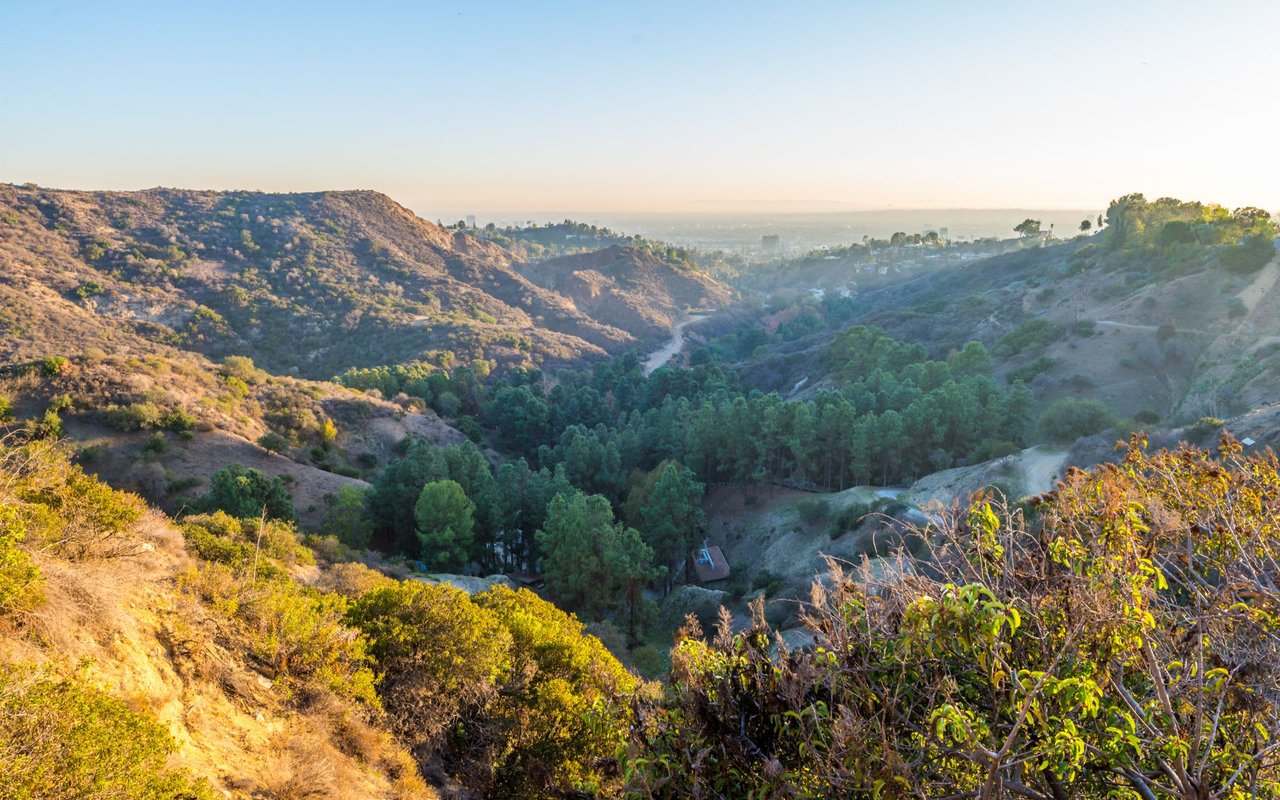 Hollywood Hills