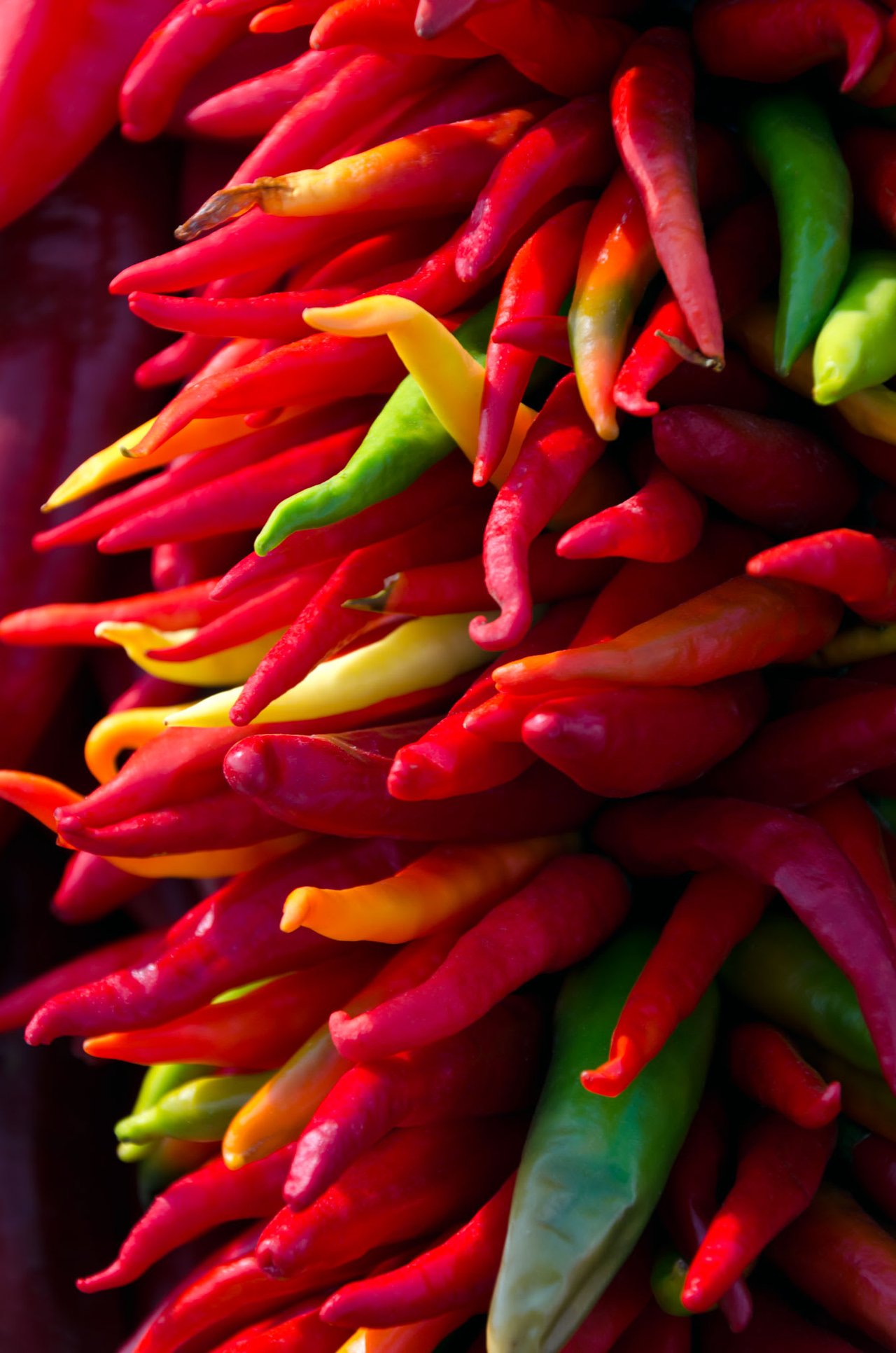 Pueblo, CO: Where Chiles Ignite a Fiery Love