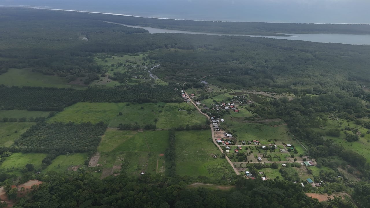 Fire Sale – Over 12 Acres of Land with Public Road Frontage Near Ojochal