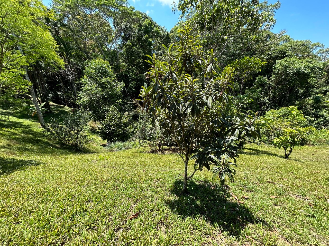 Casa La Luna, Cozy Home in Platanillo on 8 Acres of Land!