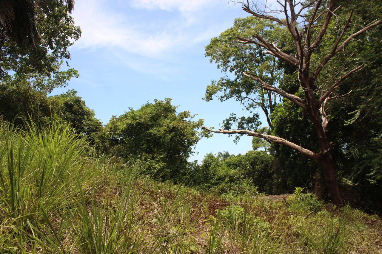 Income Producing Property with Ocean View close to Dominical