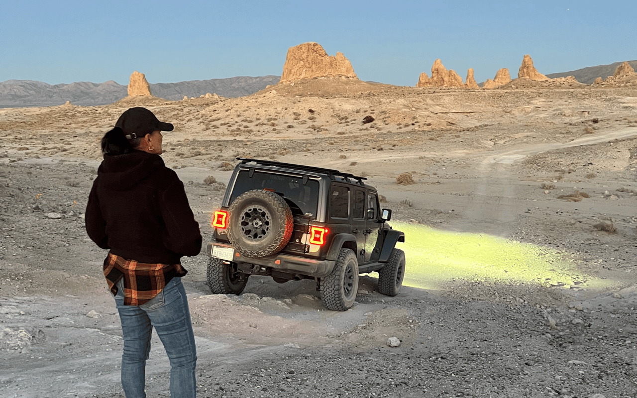 The Trona Pinnacles