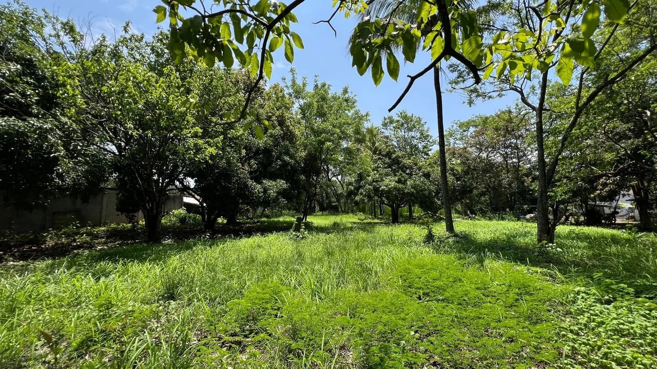 Premium Flat Residential Lot, Santa Ana, San Jose