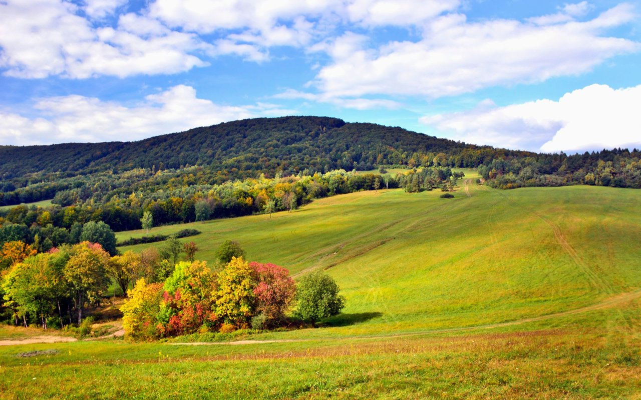 Ashe County