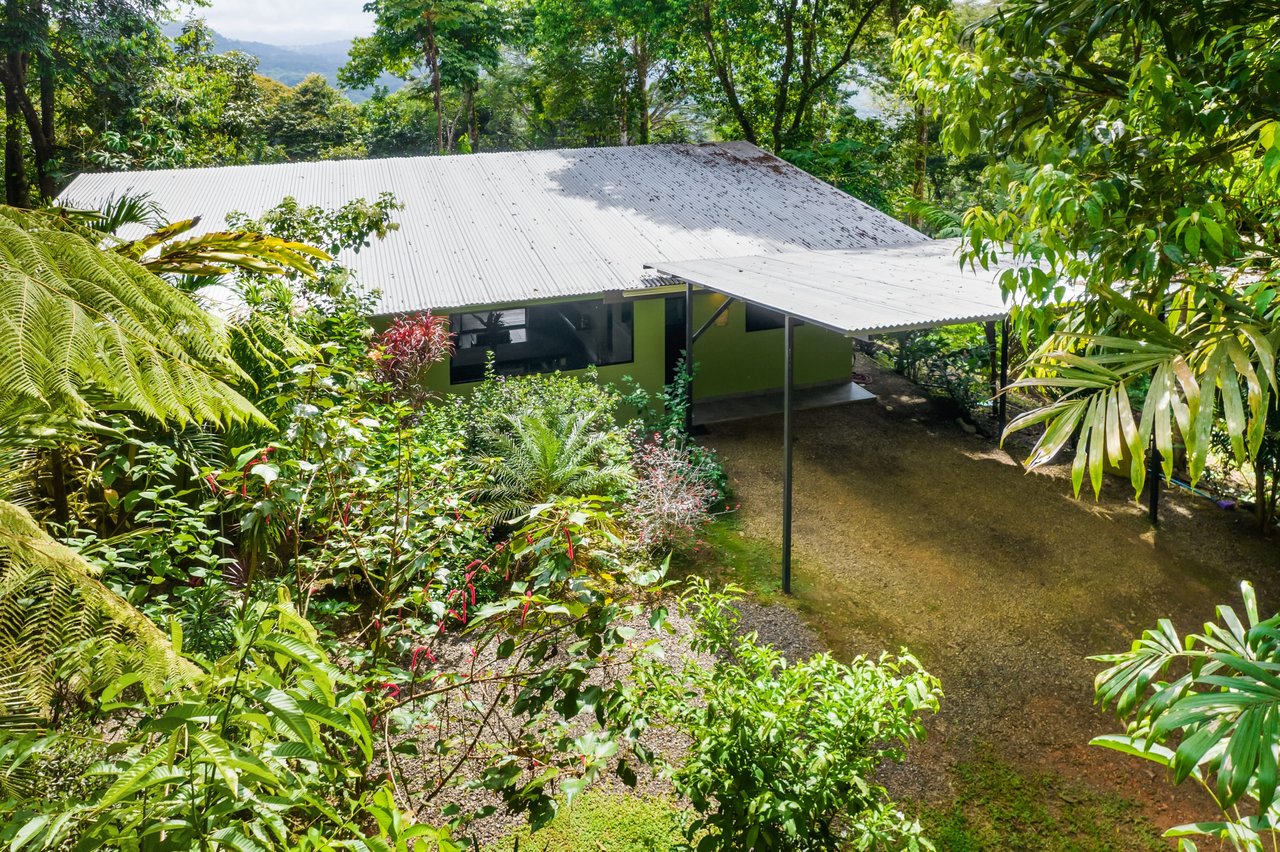 Tropical Villas on 11 Acres of Jungle. Great Location for a Retreat!