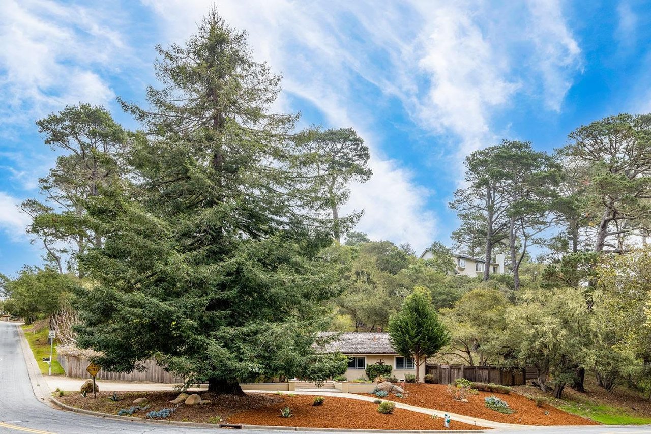 25429 Outlook Dr