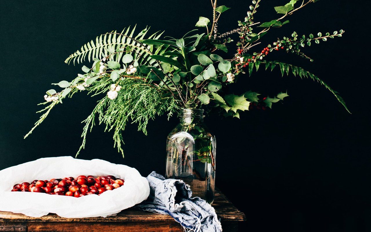 December 2020 Newsletter