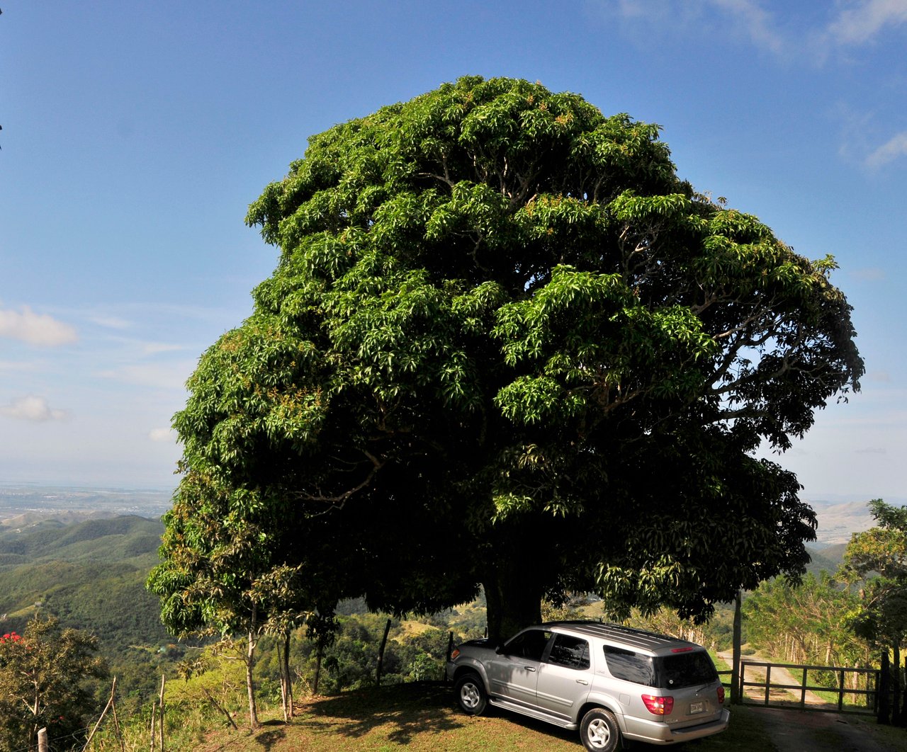 Jajome Alto Sector  La Alturita
