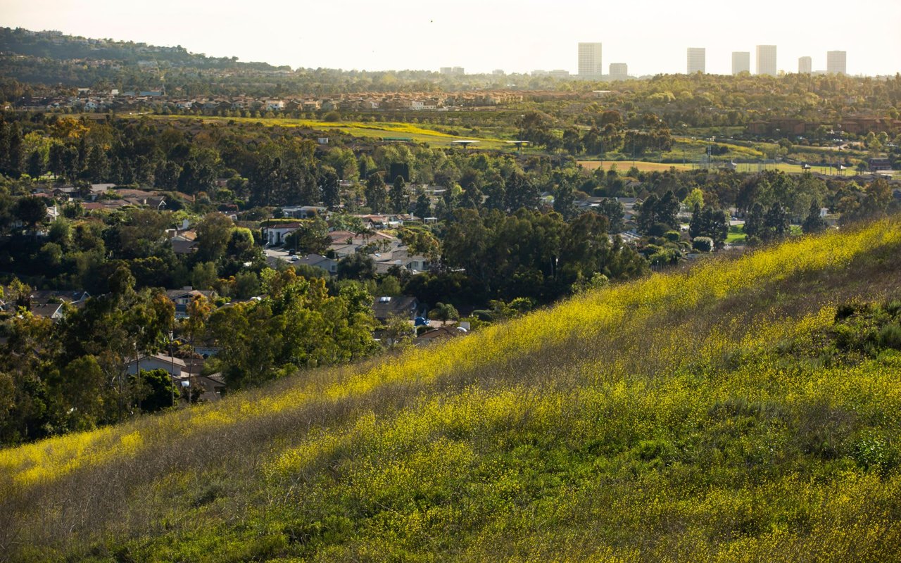 Turtle Ridge