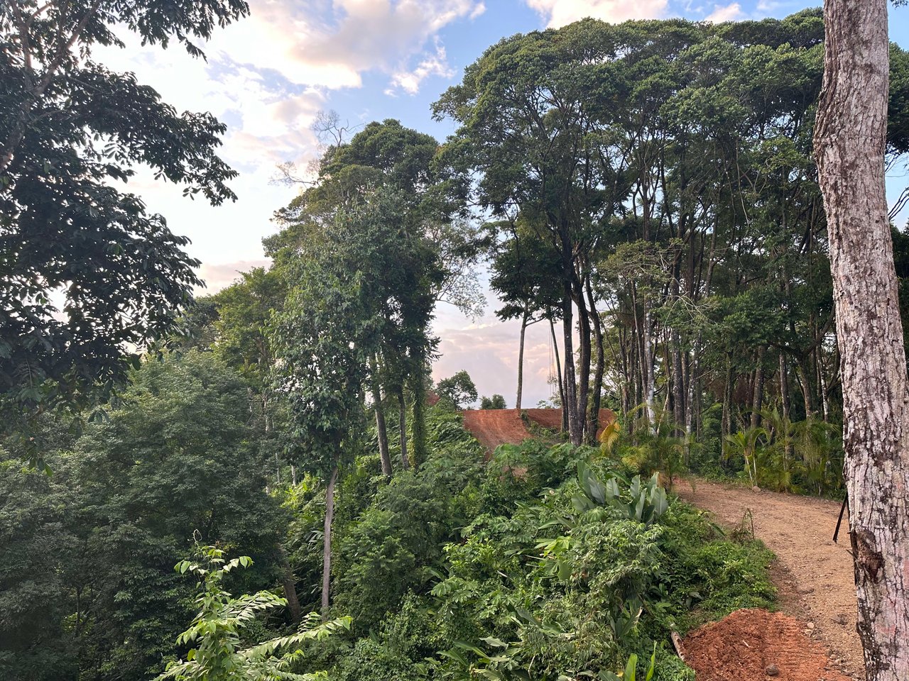 Secluded Ocean view Land in Dominical, Costa Rica