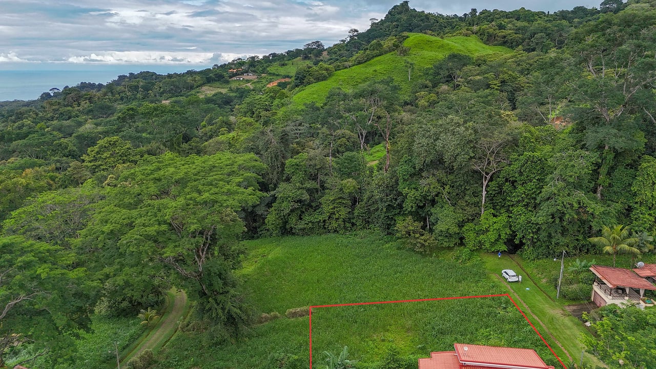 A beautiful sunny lot in a secure gated community with a nearby creek and jungle-covered valley.