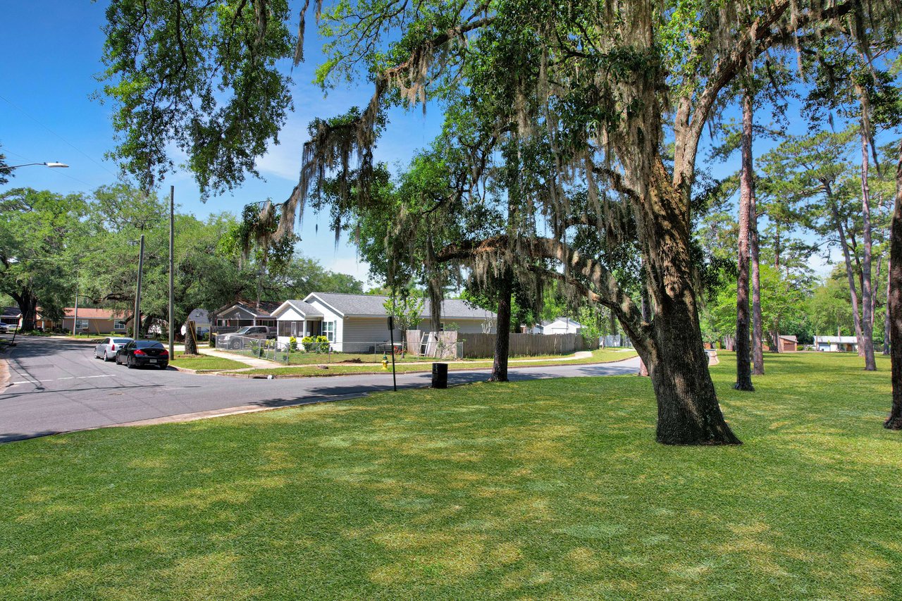 A ground-level view of a park area showing a tree-lined open space with a few houses visible in the distance.