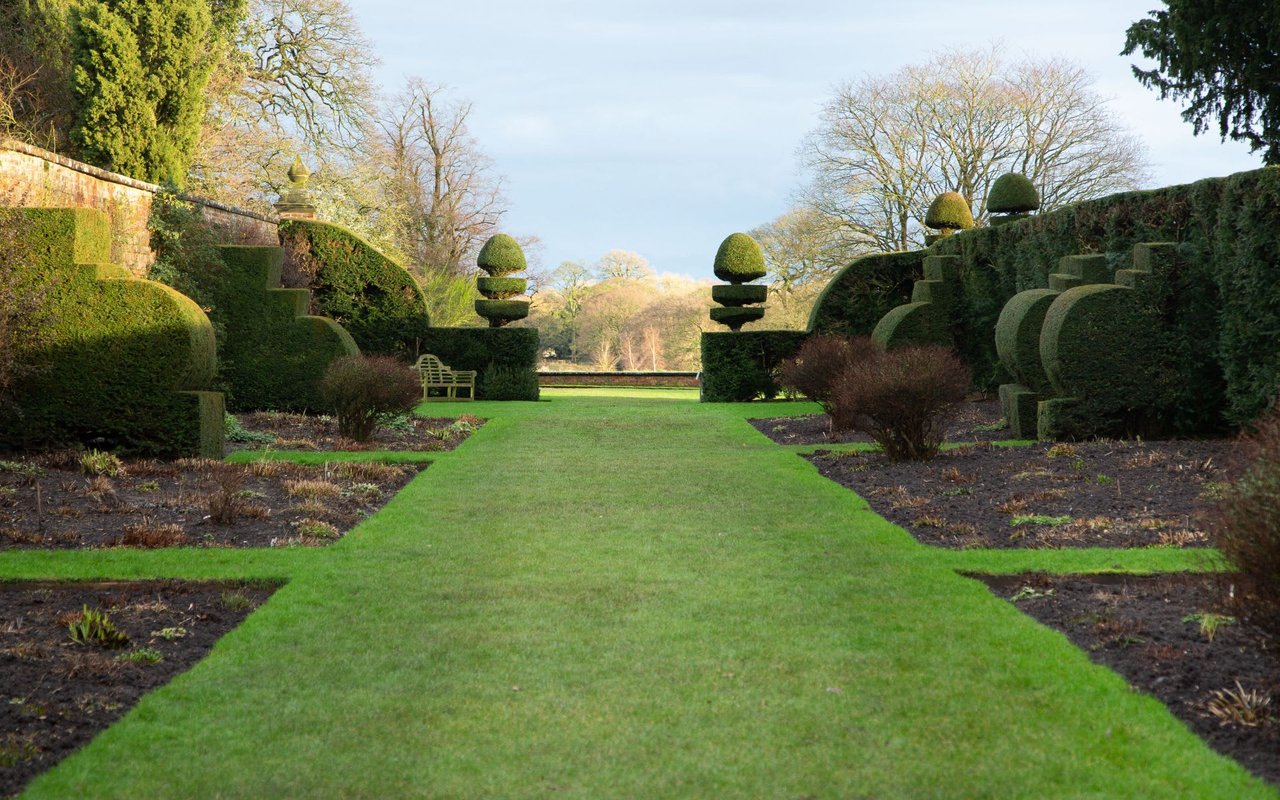 Grass Maintenance For Beginners