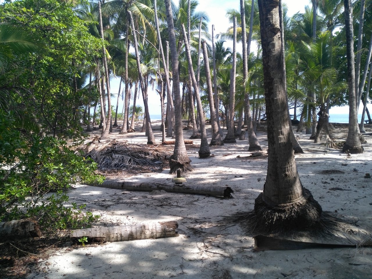 Private Secluded Beachfront Lot, Santa Teresa, Puntarenas