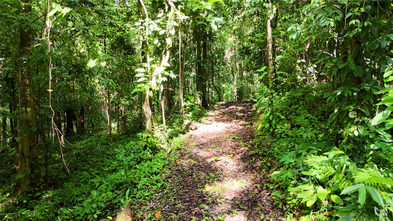Secluded Ocean View Development Land, Ojochal, Puntarenas