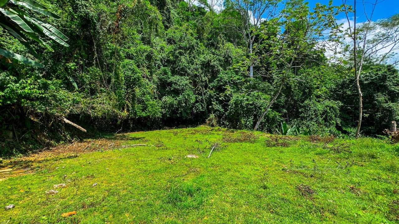 Ocean View Jungle Homesite, Ojochal, Puntarenas