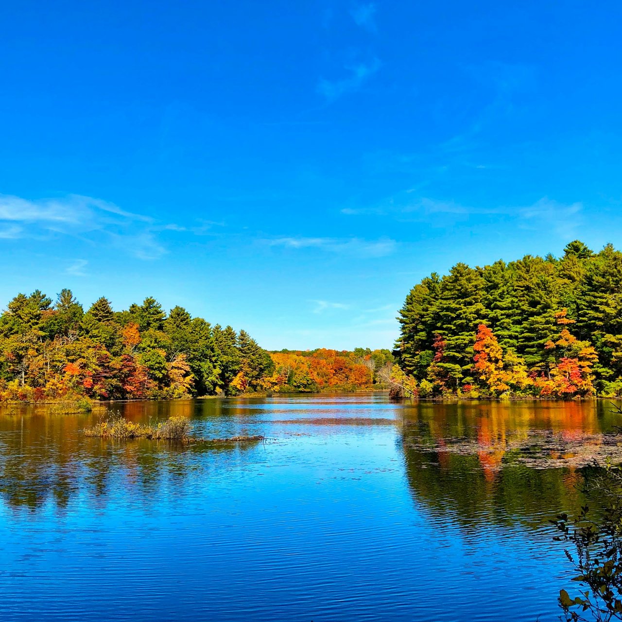 "Bucks County's Autumn Splendor: Embracing Fall Foliage and Activities"